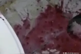 女主播退租不成故意弄脏房子？房东：走法律程序要求对方赔偿图片
