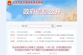 广东13个镇、11个村上榜全国超十亿元镇、超亿元村名单！图片