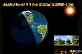 「CC讲坛」王雷：植物适应环境的法宝——生物钟图片