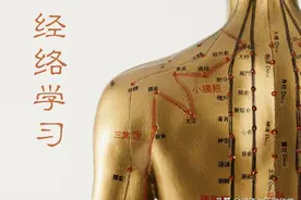 十二经络学习（6）：手太阳小肠经及小肠经上的原穴、洛穴和输穴图片