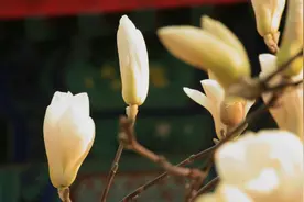 亲戚用这3种方式同你说话，表面上是为你好，实则看不起你图片