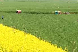 硫酸行业力保春耕用肥原料供应图片