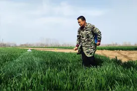 农业农村部强调的家庭农场，有哪些机遇与挑战，你符合条件吗？图片