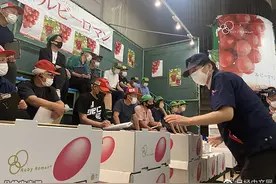 日本开发的“极甜”水果越来越多图片