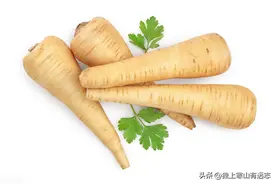 感冒了，风寒、风热分不清？别担心，用防风、荆芥都可以图片