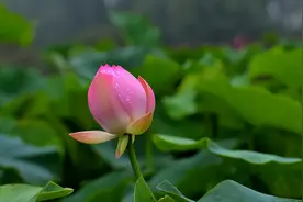 一个家庭越来越富贵的几个征兆图片