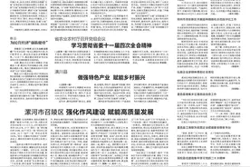 访固始县县长杨浩威：高标准农田建设推动现代农业高质高效发展图片