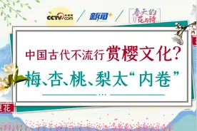 春天的花与诗｜中国古代为什么没有流行赏樱文化？梅、杏、桃、李、梨太内卷图片