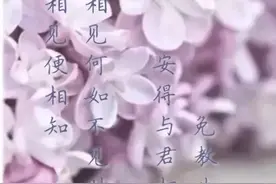 想念情人的高情商短句 相思入骨的经典句子图片
