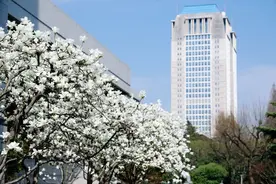 杨浦这所高校，“玉兰”主题校园上线啦！图片