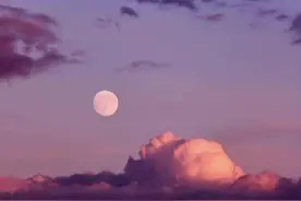 一日一诗/可惜不是你图片