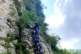 罕见！世界最长野生葛根现身济南南部山区图片