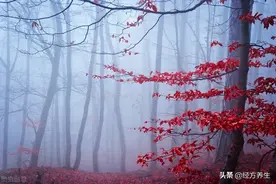 鼻腔后面堵住的鼻涕为何总是出不来？图片