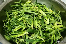 春天，碰到这菜别手软，3元一斤吃得起，营养非常丰富，凉拌最鲜图片