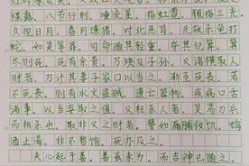 抄《太上感应篇》图片