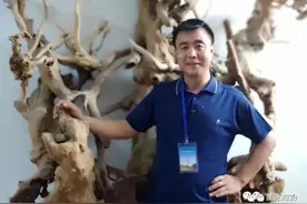 张力就是一首诗的“酒精度数”图片
