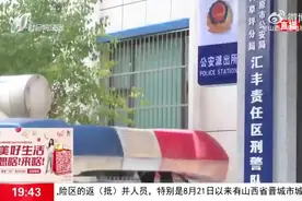 （视频）太原：贪小便宜吃大亏 女子被骗交两次税款图片