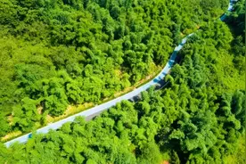 来两江新区悦来嘉陵江滨江休闲道 看动植物的“前世今生”图片