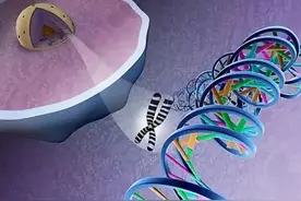 免疫组化几天出结果？图片