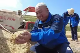 「五无甘南 十有家园」丰收的喜悦图片
