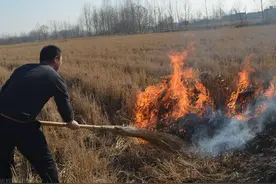 宁被罚款也要烧！秸秆对农民到底意味着什么？国外是怎么做的？图片