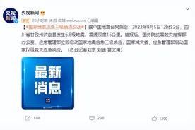 “四川地震，我一口气抓了70只猫跑路！”图片