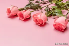 弟弟3套房收租，父母生病需30万要姐姐平摊，姐姐拿三万买断关系图片