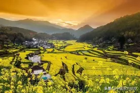 最是一年春好处，和东东共赴一场春日的邂逅图片