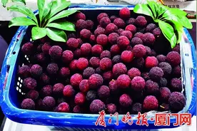 杨梅一路降价，可以敞开吃了，时间将持续至6月底图片