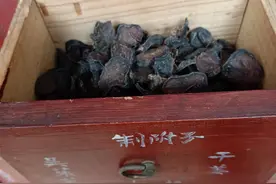 如何正确使用附子——附子适应证及误用附子中毒的表现和解法图片