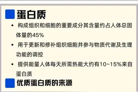 人体必需的七大营养素图片