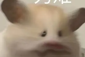 开心得飞起来（表情包来了）图片