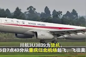 川航客机因故障返航，落地前空中盘旋8个小时，为何不直接着陆？图片