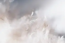 看诗猜作者，看你能答对几道题图片