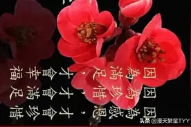 有些人为什么会生活的这么幸福而有些人为什么就这么苦？图片