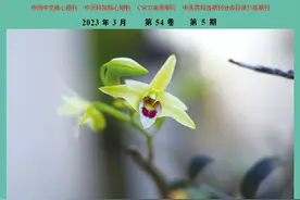 天然药物化学史话：海洋毒素图片