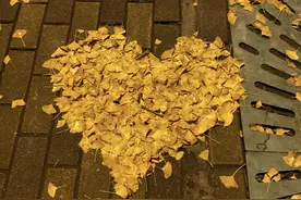 抖音上很火的一段话，我爱你，不是因为你有车有房，只因阳光很好图片