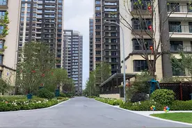 女子在长沙买了套房后竟然忘记了，5年后回家一看，女子当场崩溃图片