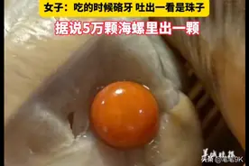 惊呆！青岛一女子吃海螺竟吐出“龙珠”，堪比珍珠界的劳斯莱斯图片