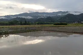 故事老爷爷图片