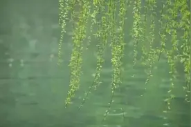 初中语文试题：七年级下学期期中学情检测语文试题（含答案）图片