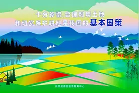 从“退耕还林”到“退林还耕”，真的是开倒车、瞎折腾吗？图片