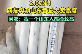 2.07米！网友实测山东章丘大葱高度，网友：我一个山东人都没葱高图片