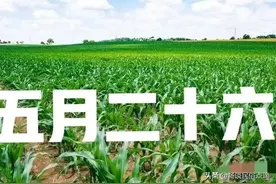 “收秋不收秋，单看五月二十六”，今天看什么？老祖宗谚语有答案图片