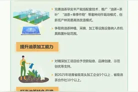 《关于加快发展油茶产业的实施意见》2025年四川新增油茶林72万亩图片