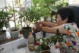 搬新家遇到“爱养花”的邻居，本以为“很香”，结果苦不堪言图片