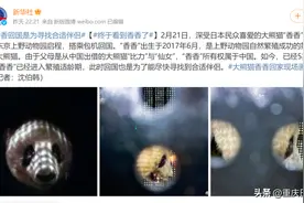 “丫丫”、“乐乐”分别冲上热搜第一！网友心疼：接丫丫回家图片