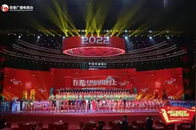 以“农”为纲，以“本土文化”为轴，以“融”为目，这场主题春晚点亮安徽三农新故事图片