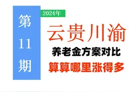 云贵川渝养老金方案，孰高孰低？按4省标准，哪里多涨钱？看看！图片