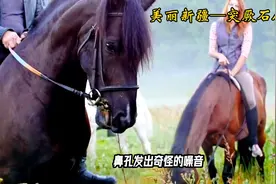 #突厥石人沟@DOU+小助手图片